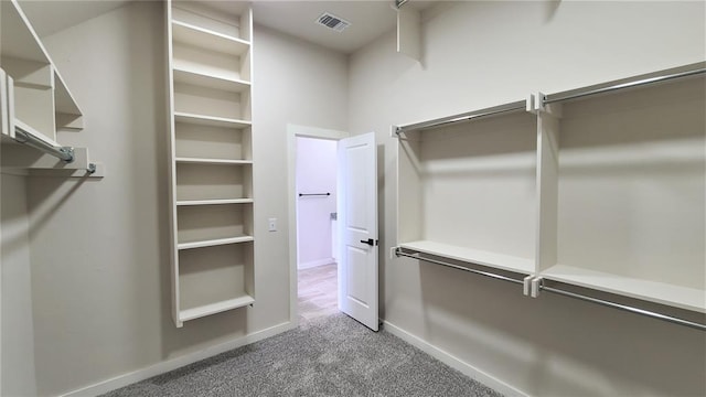 spacious closet featuring carpet