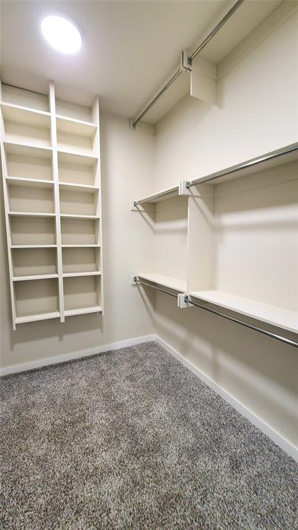 spacious closet with carpet floors