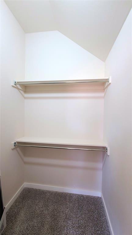 9304 SW 35th St, Oklahoma City, OK 73179 - walk in closet with carpet floors and vaulted ceiling