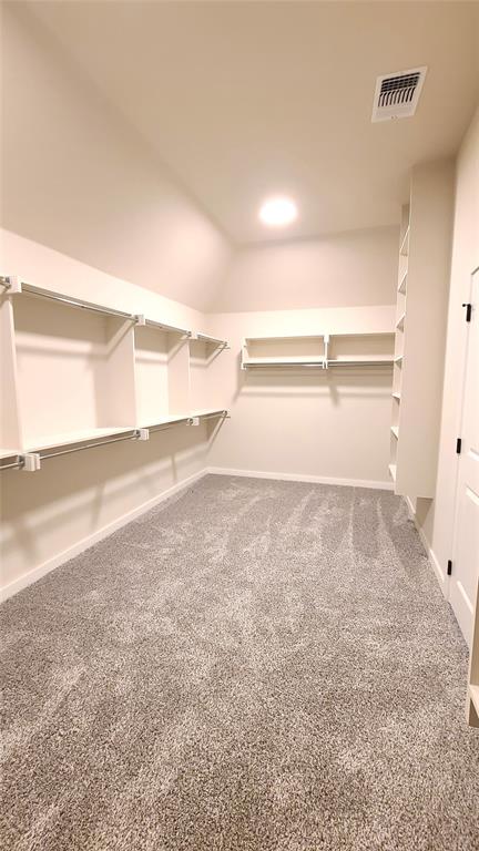 spacious closet with carpet floors