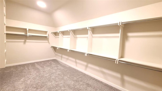 spacious closet with carpet flooring and lofted ceiling