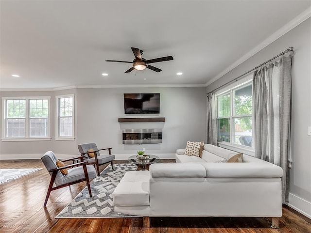 living room with dark hardwood / wood-style floors, ceiling fan, and ornamental molding