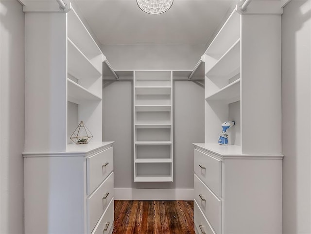 spacious closet featuring dark hardwood / wood-style flooring