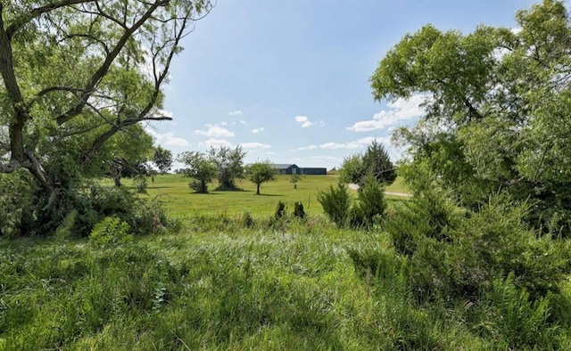 view of landscape featuring a rural view