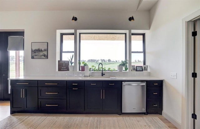 kitchen featuring stainless steel dishwasher, plenty of natural light, and sink