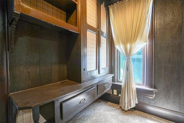 mudroom featuring wooden walls and carpet floors