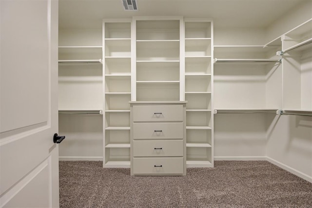 walk in closet featuring carpet floors