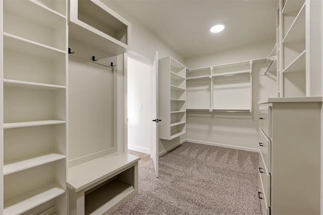 walk in closet with light carpet