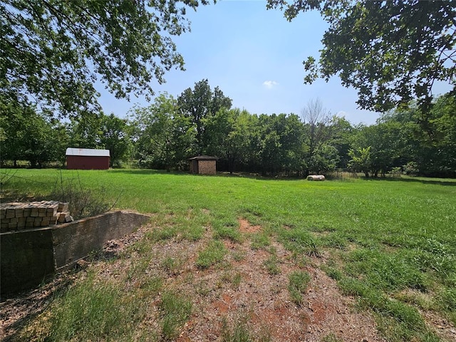 view of yard featuring a shed