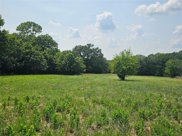 view of nature featuring a rural view