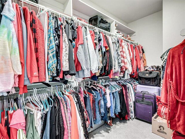 walk in closet with carpet floors