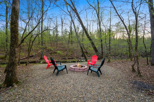 view of yard with an outdoor fire pit