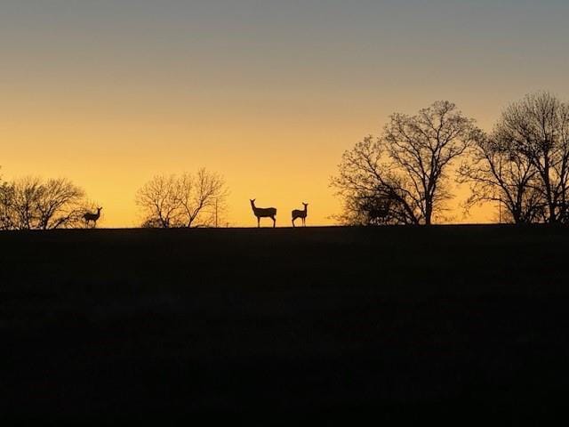 view of nature