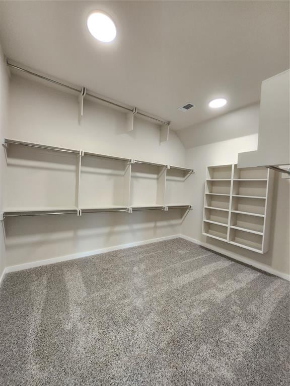 walk in closet featuring carpet floors