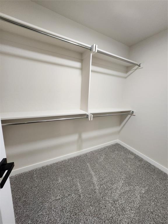 spacious closet featuring carpet