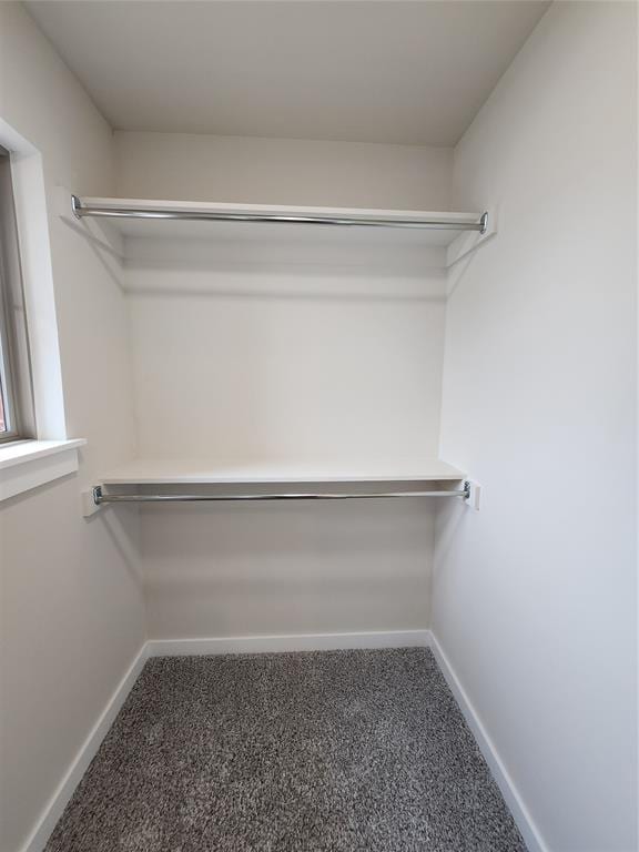 walk in closet with carpet floors