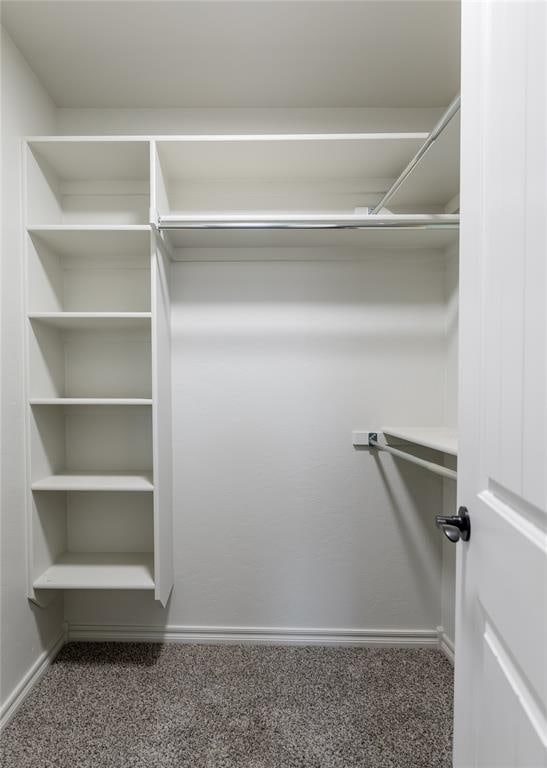 spacious closet with carpet floors