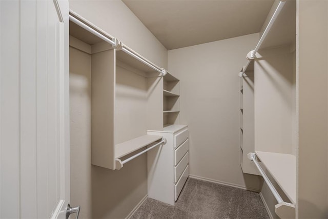 walk in closet with dark carpet