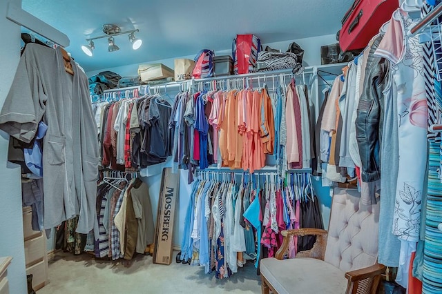 walk in closet with light colored carpet