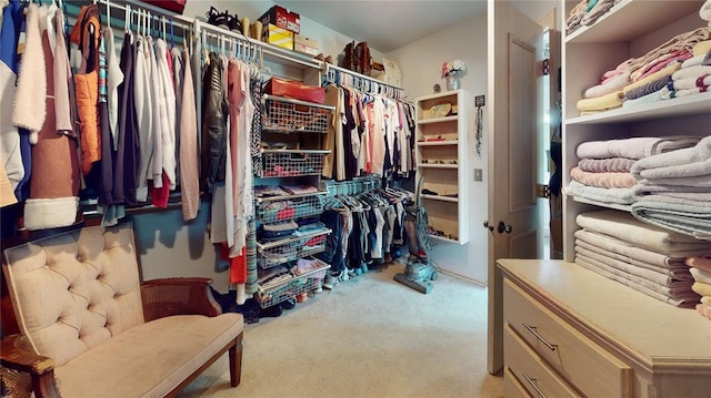 spacious closet with light colored carpet