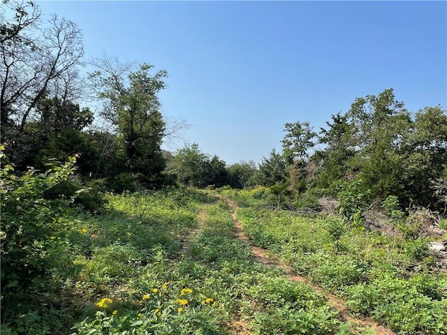 21141 E Simpson Rd, Wellston, OK 74881 - photo 6