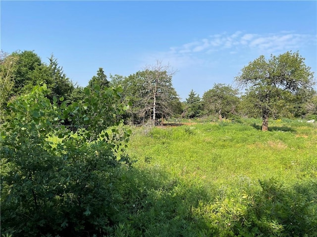 21141 E Simpson Rd, Wellston, OK 74881 - photo 7