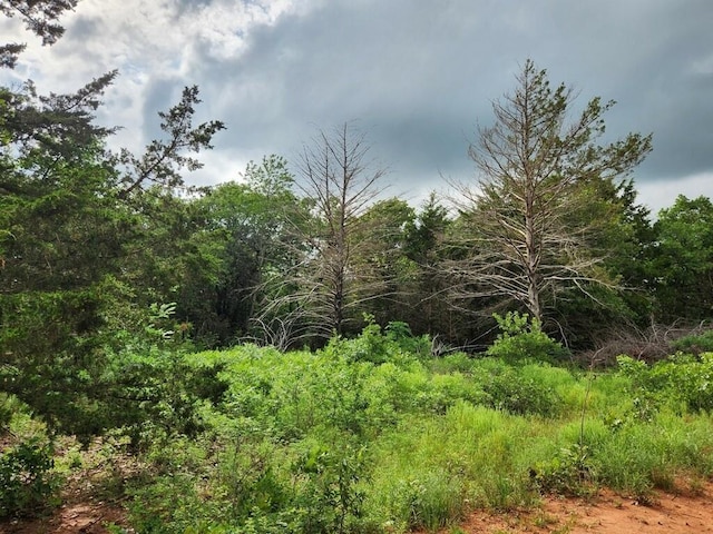 21141 E Simpson Rd, Wellston, OK 74881 - photo 9