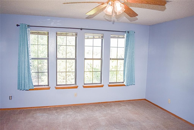 empty room featuring carpet, ceiling fan, and a textured ceiling