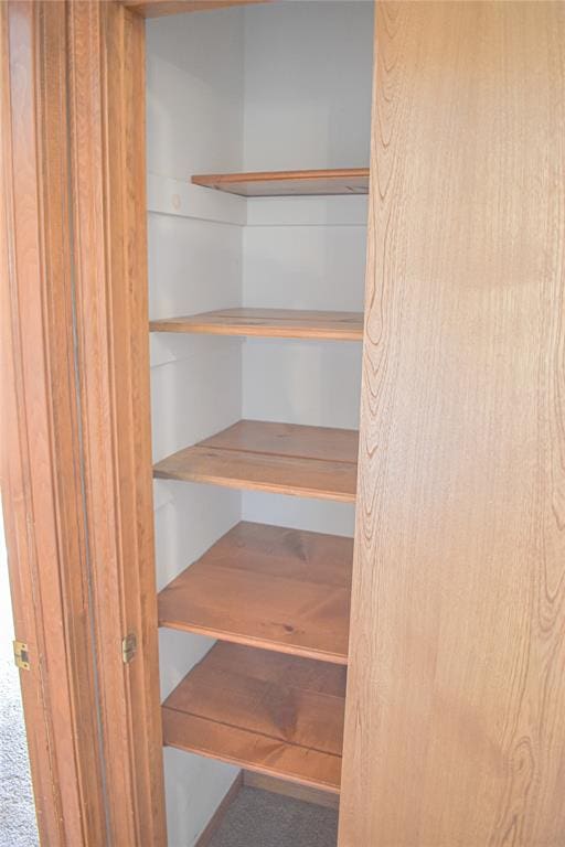 view of closet