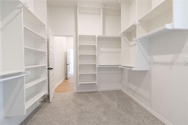 walk in closet with light colored carpet