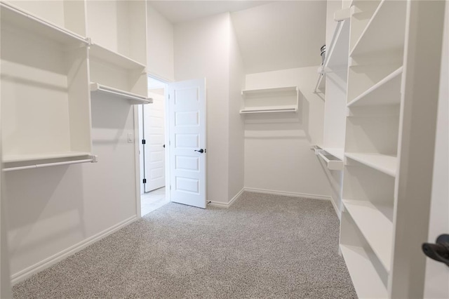 spacious closet featuring light carpet