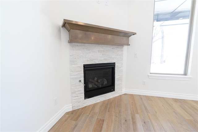 room details with baseboards, wood finished floors, and a stone fireplace