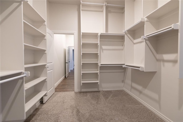 spacious closet with carpet