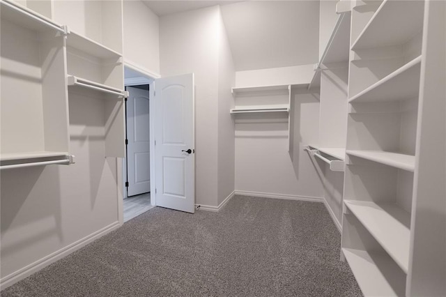 spacious closet with carpet flooring