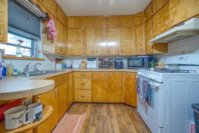 kitchen featuring sink, white gas stove, decorative backsplash, and light hardwood / wood-style floors