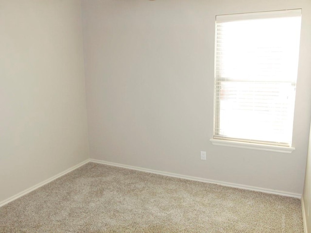 unfurnished room featuring carpet and a healthy amount of sunlight