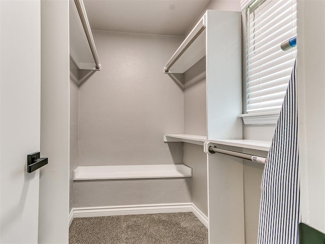 spacious closet featuring carpet