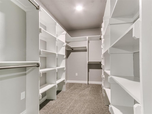 spacious closet with light colored carpet