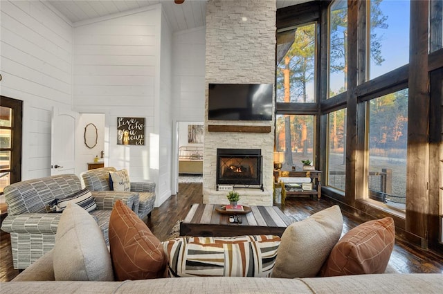 living room featuring a stone fireplace, high vaulted ceiling, and dark wood-type flooring