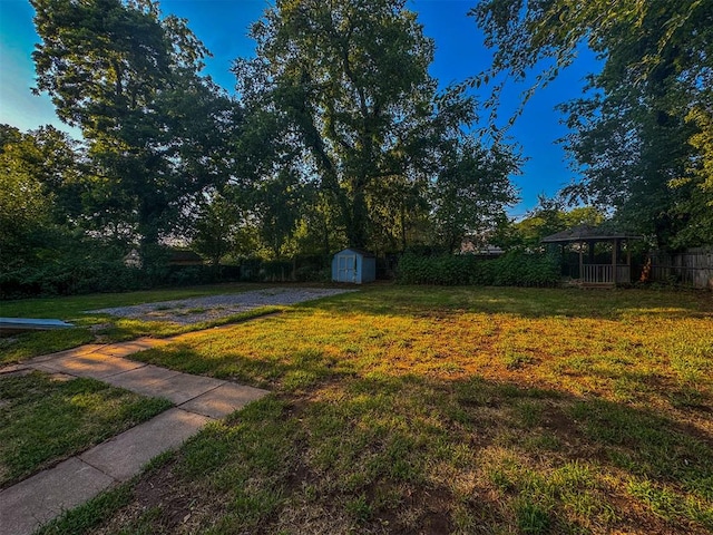 view of yard with a storage shed