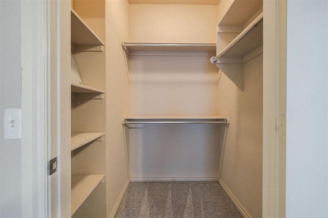 walk in closet with dark carpet