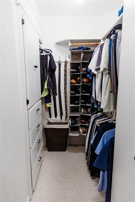 view of spacious closet