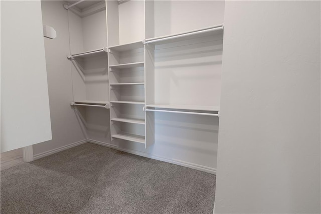 spacious closet featuring carpet flooring