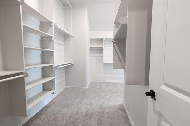 spacious closet with light carpet