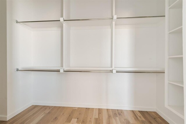 spacious closet featuring wood finished floors
