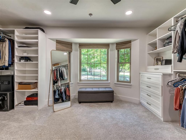 spacious closet with light colored carpet