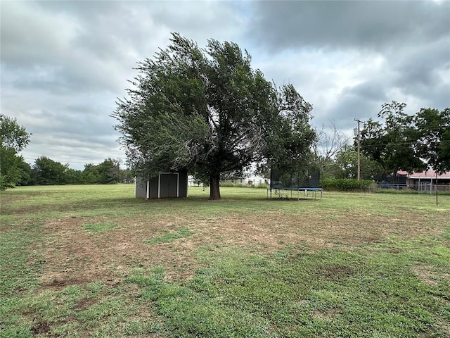 view of yard with a storage unit and a trampoline