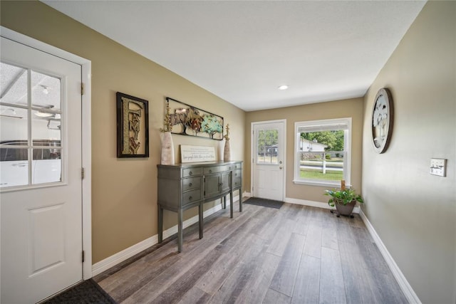 entryway featuring hardwood / wood-style flooring