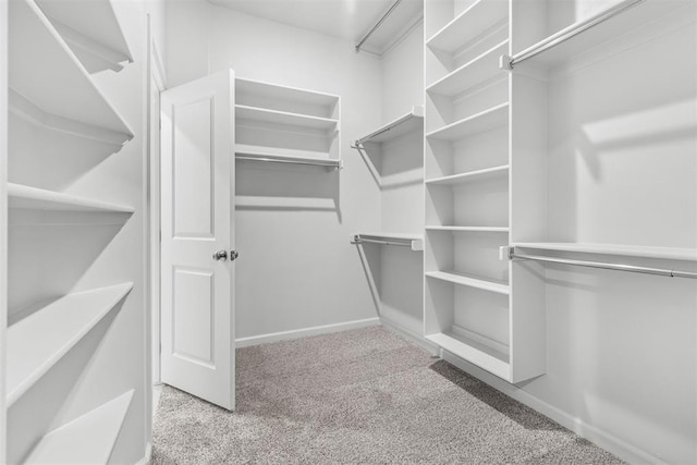 walk in closet featuring light colored carpet