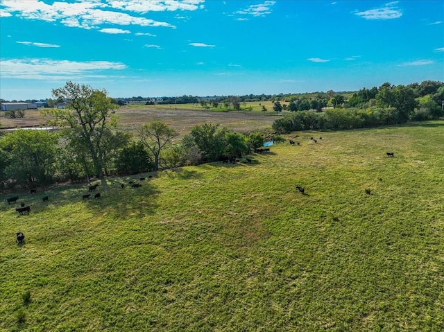 aerial view featuring a rural view